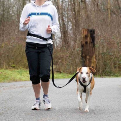 Trixie Bauchgurt mit Leine für mittelgroße und große Hunde 75-120 cm