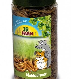 JR Farm Mehlwürmer Dose 70g