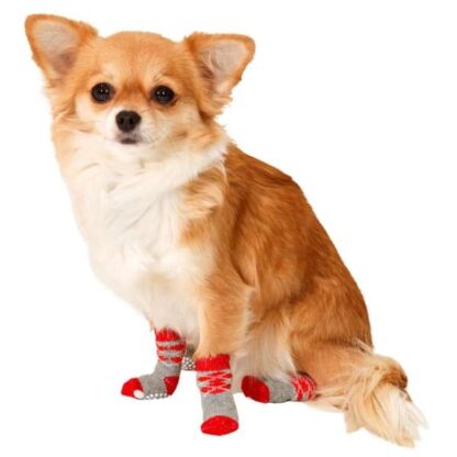 Karlie Doggy Socks Hundesocken 4er Set - Rot/Grau S