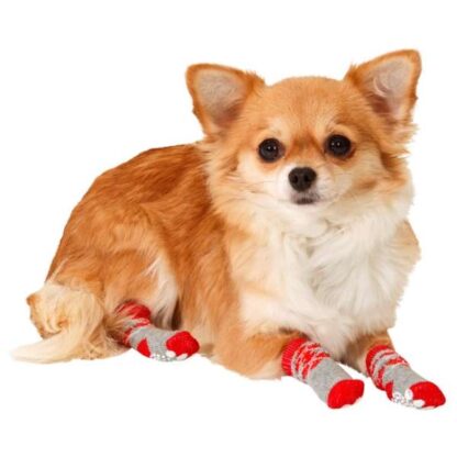 Karlie Doggy Socks Hundesocken 4er Set - Rot/Grau S