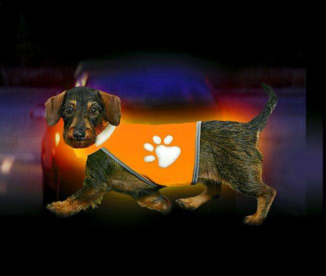 Karlie SAFETY-DOG Sicherheitsweste - Orange S