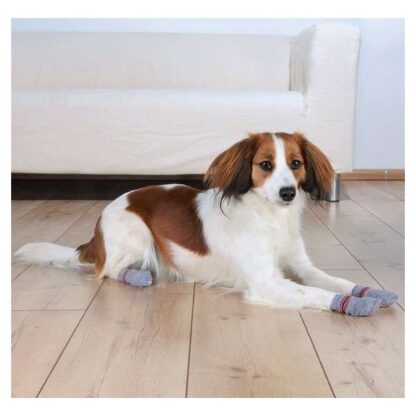 Trixie Hundesocken - Grau XS-S