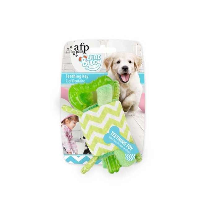 All for Paws Little Buddy - Teething Key Grün