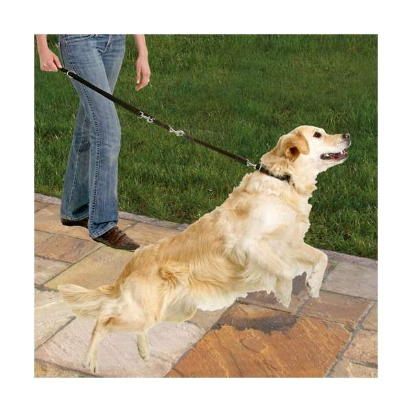 Karlie Protector Plus Hundebremse 20mm/35cm