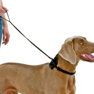 Karlie TOM DOG Halsband und Leine in einem 50-70 cm