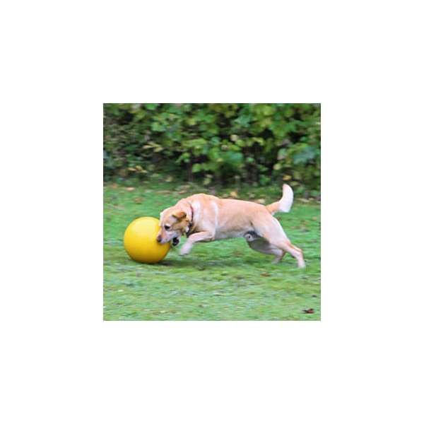 Kerbl Hundespielball Ø 30cm