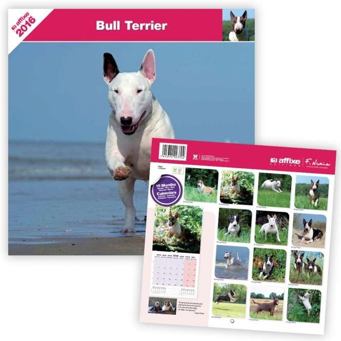 Bull Terrier-Kalender 2016