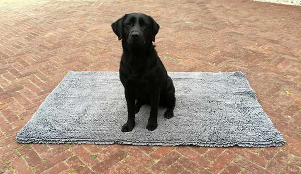 Doggy Dry Doormat Hunde-/Türmatte