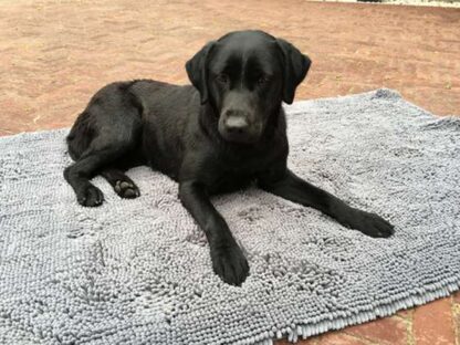 Doggy Dry Spill Mat Hundematte