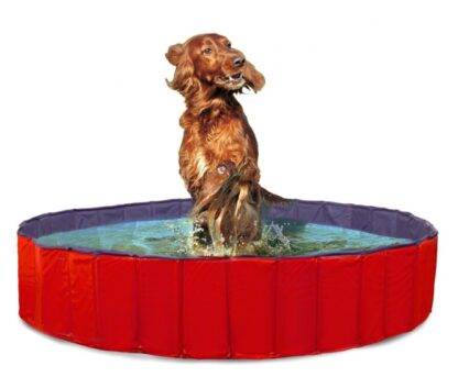 Karlie DOGGY POOL der Swimmingpool für Hunde - Rot-Blau 160 cm