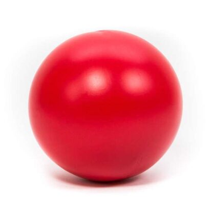 PROCYON Treibball Rot