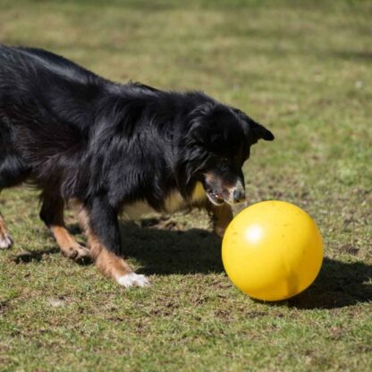 PROCYON Treibball Gelb