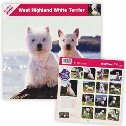 West Highland Terrier-Kalender 2016